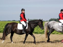 305218_10151090366288585_2054861430_n